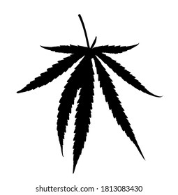 Marijuana leaf vector on white background