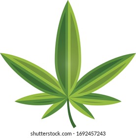 marijuana leaf vintage vector design