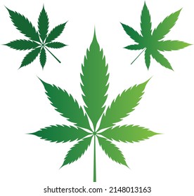 Folletos de marihuana sobre fondo blanco