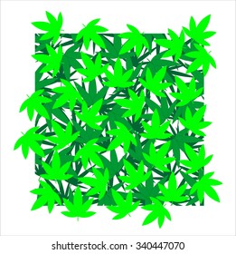 Marijuana leaves background. vector illustration- eps 10