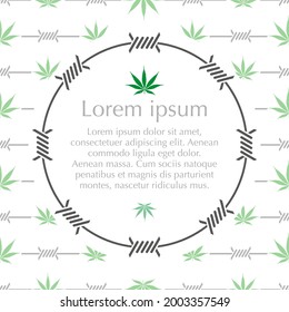 Marijuana leaves and barbed wire background, frame with place for text. Copy space 
