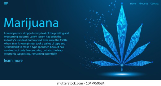 Marijuana leaves and connection light lines, low polygonal cannabis technology theme concept. Website template design.vector illustration.