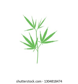 Marijuana leaves. Object on white background. Flat style