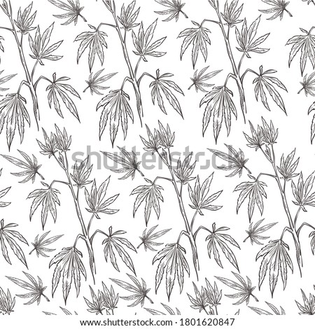 Marijuana leaves on branches, seamless pattern of foliage. Hashish alternative medicine, herbal care. Cannabis plant, narcotic drugs with tetrahydrocannabinol Monochrome sketch outline, vector in flat
