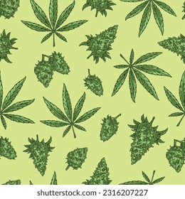 Hojas de marihuana patrón sin fisuras colorido con pétalos de plantas de cannabis para fumar y hacer ilustración de vector de narcóticos