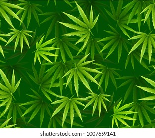 Marijuana leaves seamless vector pattern. Cannabis plant green background. Dense vegetation of ganja.