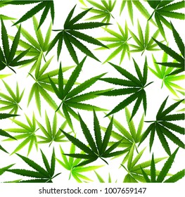 Marijuana leaves seamless vector pattern. Cannabis plant green background. Dense vegetation of ganja.