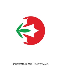 Medicina Marihuana Medio Ambiente Cbd Pura Hoja Canadiense Cannabis Para Medicina Canadá Deja Logotipo Tecnológico Estilo De Vida