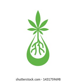 Marijuana with oil drop. Hemp oil 
