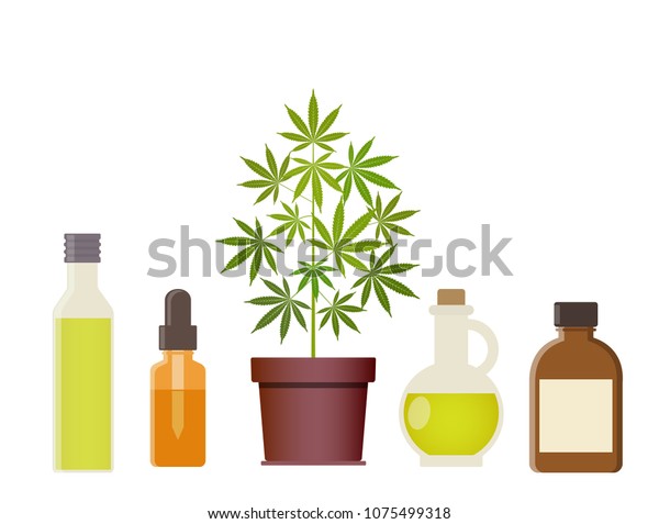 Download Marijuana Plant Cannabis Oil Medical Marijuana Stock Vector Royalty Free 1075499318