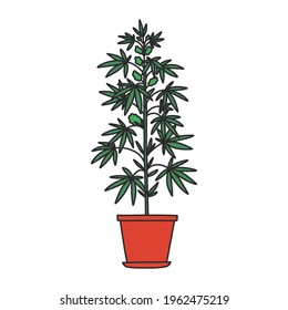 marijuana plant doodle icon, vector illustration