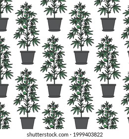 marijuana plant doodle seamless pattern, vector illustration