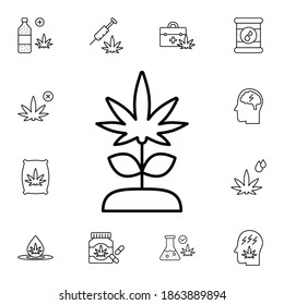Marijuana, pflanzenflache Vektorsymbol im Marihuana-Paket
