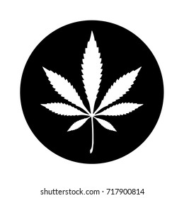 marijuana plant icon