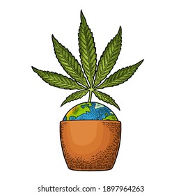 Marijuana plant with leaf in pot and Earth planet. Hand drawn design element cannabis. Vintage color vector engraving illustration for label, poster, web. Isolated on white background