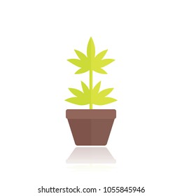 Marijuana plant in pot icon in flat style