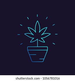 Marijuana plant in pot vector linear icon