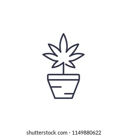 Marijuana plant in pot vector linear icon on white