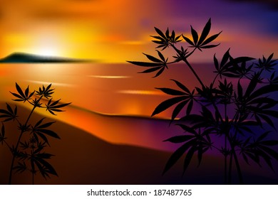 Marijuana plants over a blurred summer tropical beach sunset landscape vector illustration