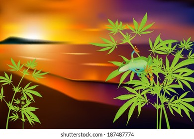 Marijuana plants over a blurred summer tropical beach sunset landscape vector illustration