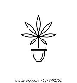 Marijuana in pot line icon - thin outline cannabis sativa grow in flowerpot isolated on white background. Vector illustration of hemp leaf in bowl drug consumption or marihuana legalization concept.