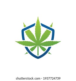 Marijuana shield logo template design