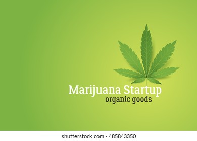 Marijuana startup conceptual vector illustration. Realistic cannabis leaf on green background.