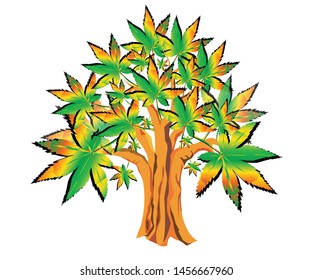 Marijuana tree or Cannabis leaf, Concepts herbs and medical health, Vector illustration on white background.