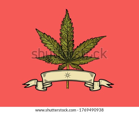 Marijuana vector cannabis leaf weed with vintage ribbon and red background. Medical cannabis logo