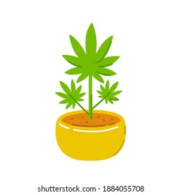 Marijuana weed plant in pot. Vector trendty flat line illustration icon. Isolated on white background. Plant marijuana concept