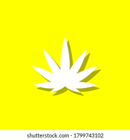 hilo blanco de marihuana con sombra