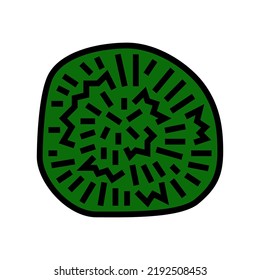 marimo ball color icon vector. marimo ball sign. isolated symbol illustration
