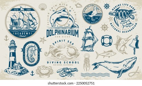 Marine adventure logotypes set colorful for companies of training divers and sailors or natural oceanariums or dolphinariums vector illustration