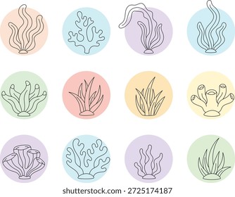 Conjunto de Vector de croquis de algas marinas y coral
