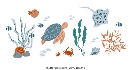Marine algae, seaweed, corals, plants, shells, fish. Marine inhabitants of the underwater world. Underwater set, turtle, fish, stingray fish, fugue fish, crab