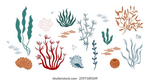 Marine algae, seaweed, corals, plants, shells, fish. Marine inhabitants of the underwater world. Underwater set