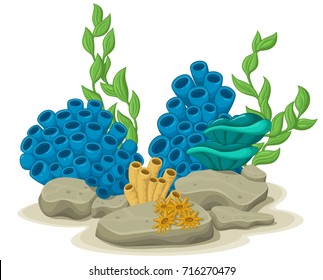 Marine algae, yellow tube sponges and sea anemones growing on a rock sea life. Vector illustration