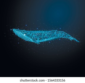  Marine animal  - 	blue whale. Low poly vector illustration of a starry sky.