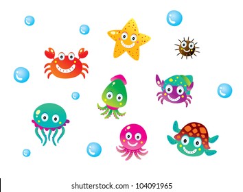 marine animal collection
