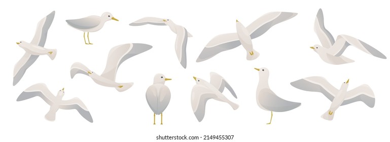 Marine animal collection. Vector illustration of seacoast in flat cartoon style.