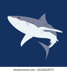 Marine animal. Predatory fish. Shark. Flat illustration of the dangerous shark.	