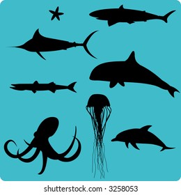 Marine animal silhouettes