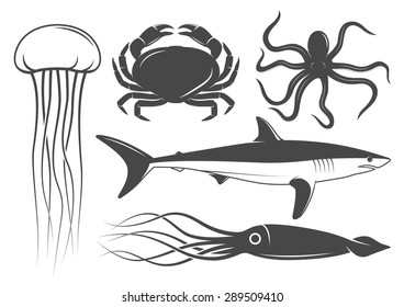 Marine animals