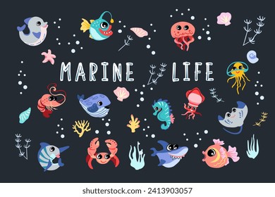 Marine animals  Banner