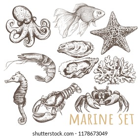 Dibujo, dibujo, vector de la colección de animales marinos. Conjunto marino