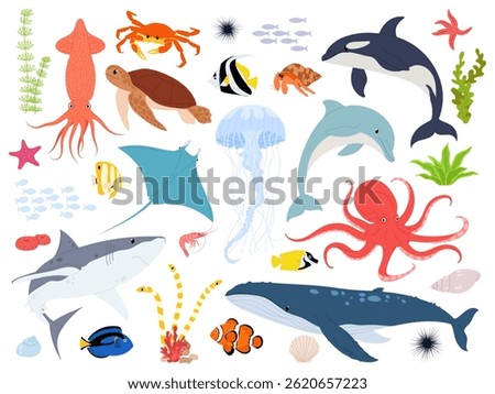 Marine animals with elements of underwater life. Sea animals vector illustration set. Cute sea or oceanic inhabitants on a white background.