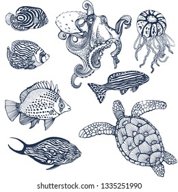 Marine Animals Hand Drawing Vector Illustration Stock Vector (Royalty ...