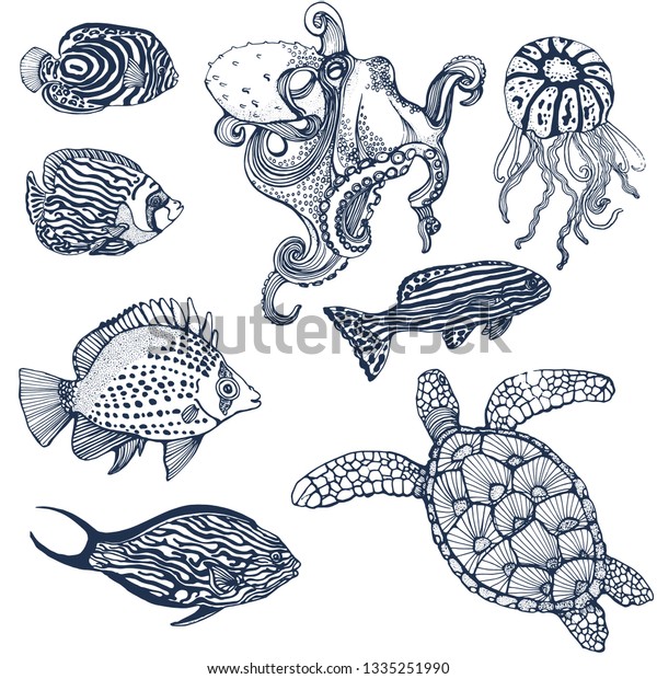 Marine Animals Hand Drawing Vector Illustration Stock Vector (Royalty ...