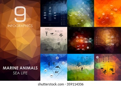 marine animals infographic with unfocused background