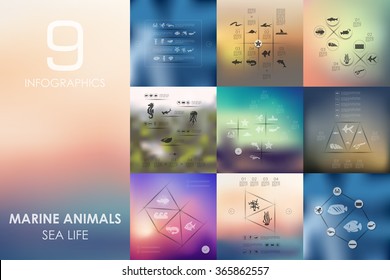 marine animals infographic with unfocused background